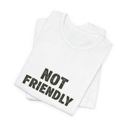 Not Friendly shirt |  funny tee